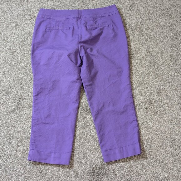 ANN TAYLOR Signature, Purple Mid-Rise Stretch Crop Pants / Capris; Size 10 - Picture 2 of 4
